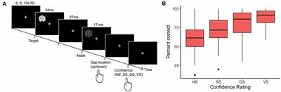 Segregated Co-activation Patterns in the Emergence of Decision Confidence During Visual Perception